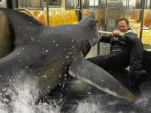 Robbie Rist