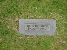 Robert Bice