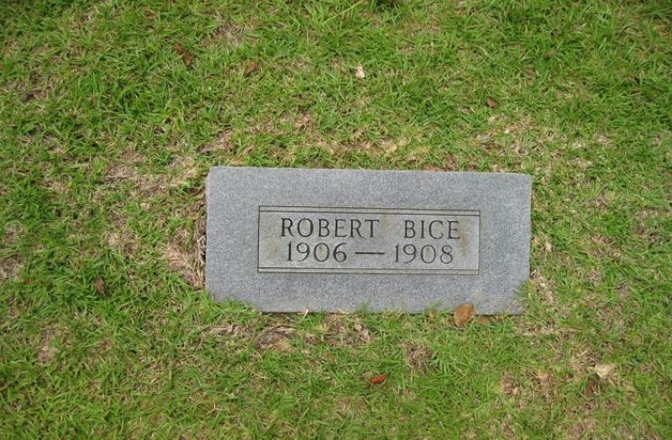 Robert Bice