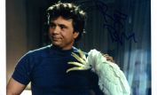 Robert Blake