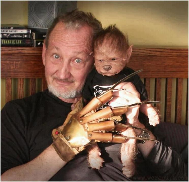 Robert Englund