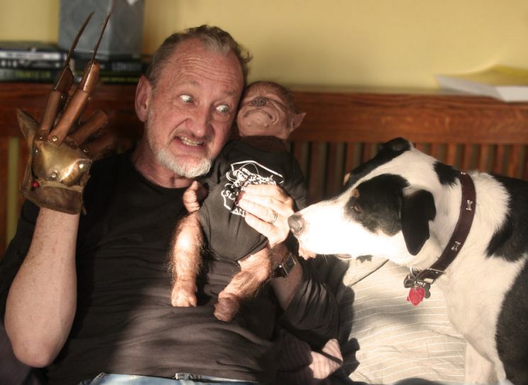 Robert Englund