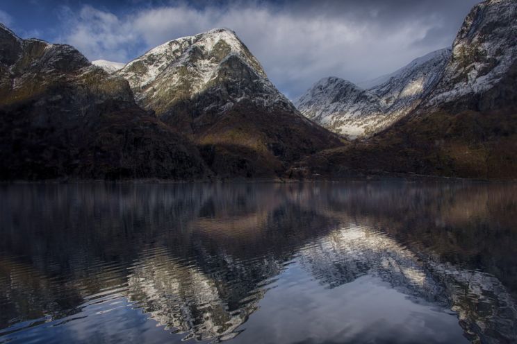 Robert Follin