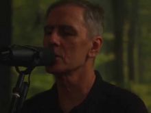 Robert Forster