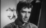 Robert Fuller