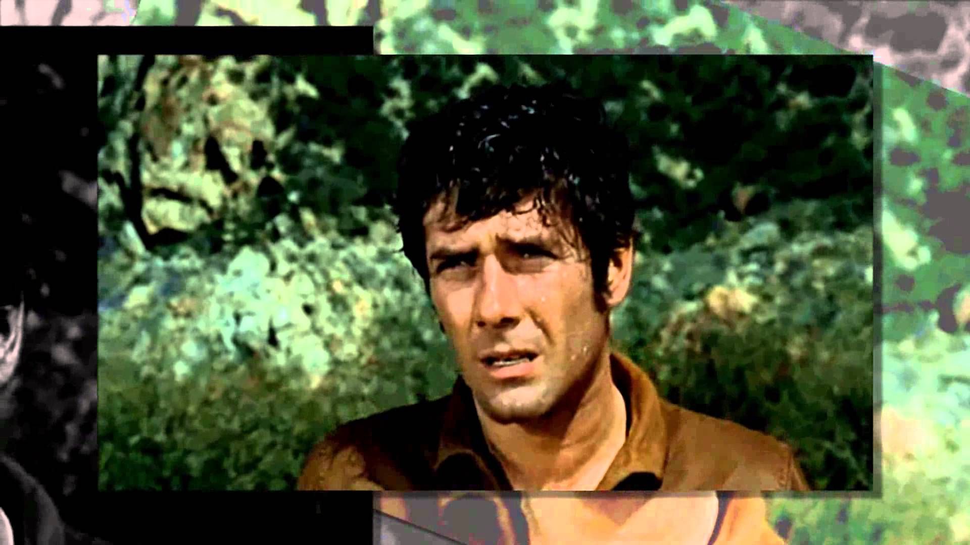 Pictures of Robert Fuller