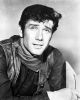 Robert Fuller
