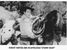 Robert Horton