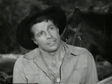 Robert Horton