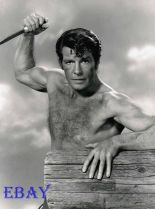 Robert Horton