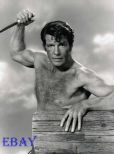 Robert Horton