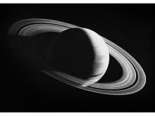 Robert Longo