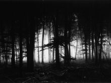 Robert Longo