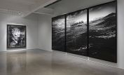 Robert Longo