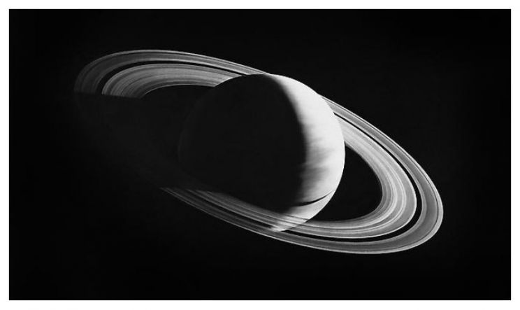 Robert Longo