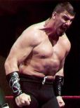 Robert Maillet