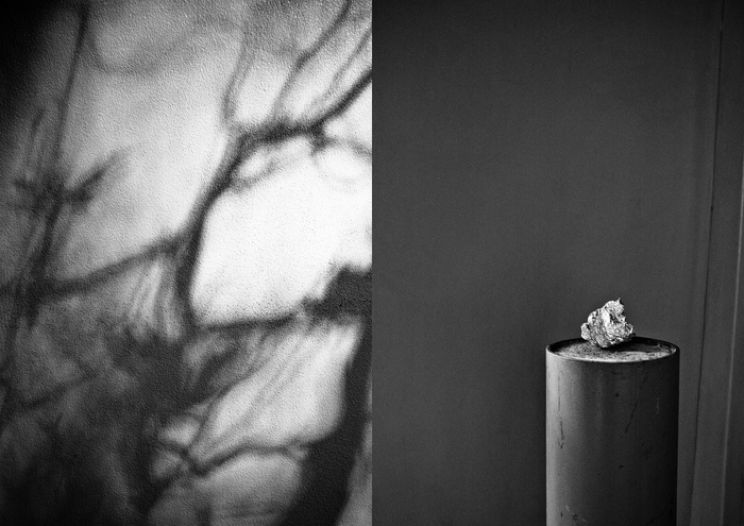Robert Musgrave