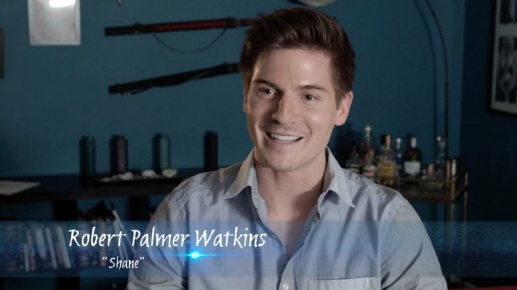 Robert Palmer Watkins