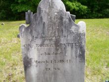 Robert Patten