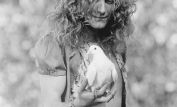 Robert Plant