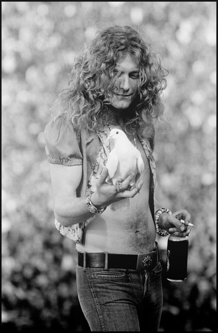 Robert Plant