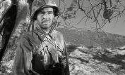 Robert Ryan