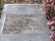 Robert Sedgwick