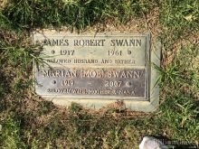 Robert Swann