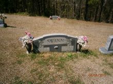 Robert Swann