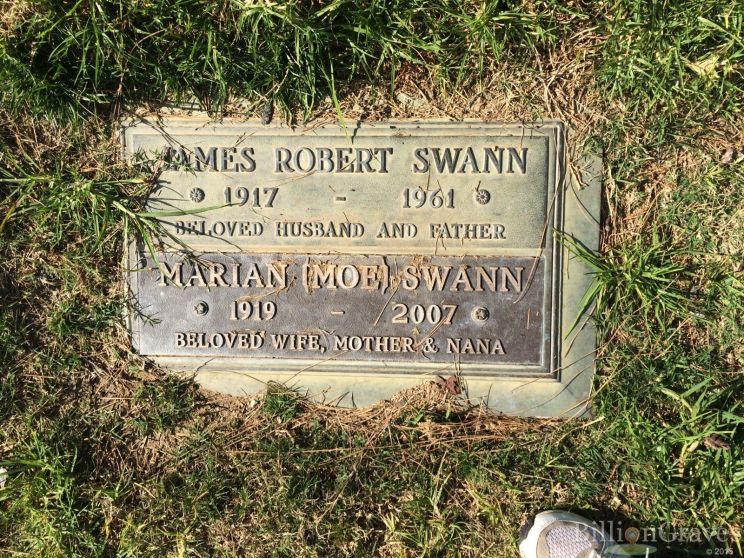 Robert Swann