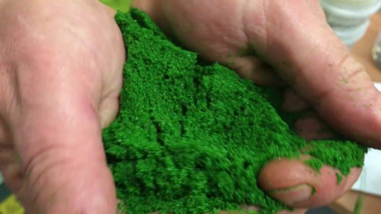 Robin Green