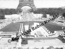 Robin Knight