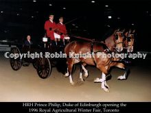 Robin Knight