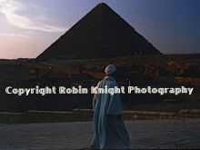 Robin Knight