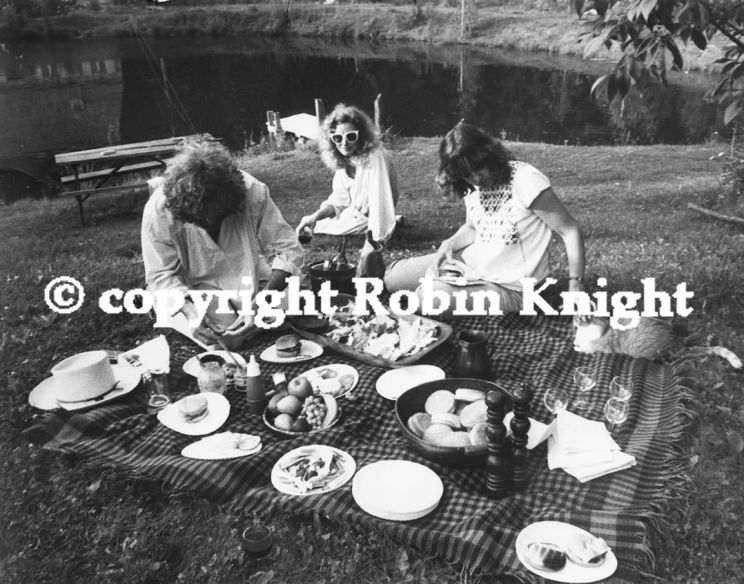 Robin Knight