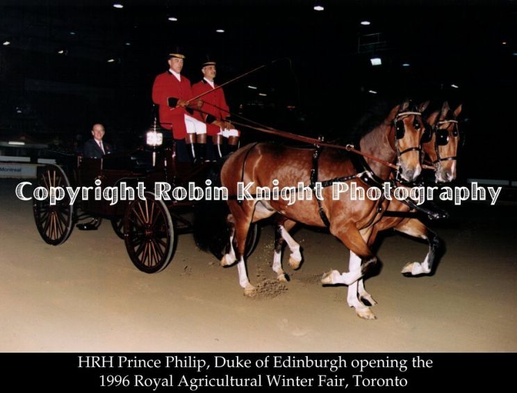 Robin Knight