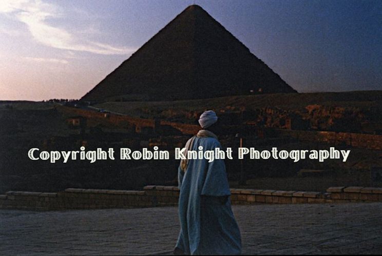 Robin Knight
