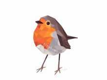 Robin Pront