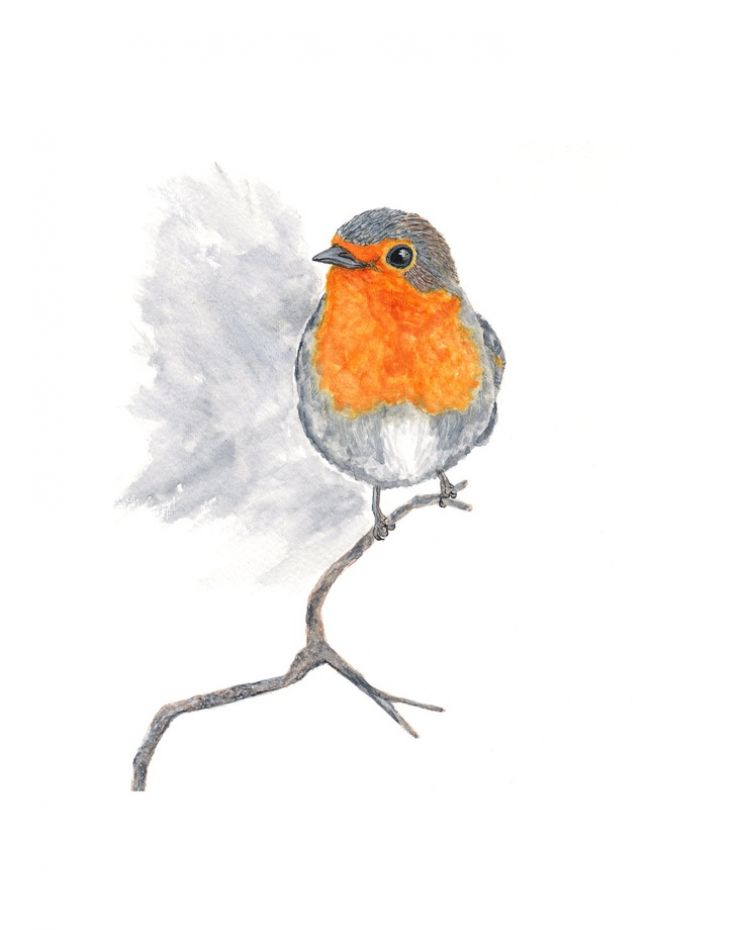 Robin Pront