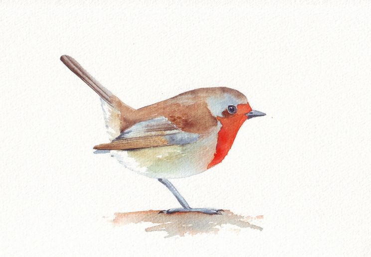 Robin Pront