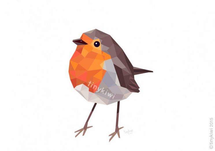 Robin Pront