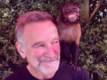Robin Williams