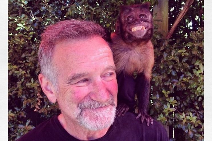 Robin Williams