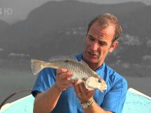 Robson Green #285280 picture (Landscape Medium)