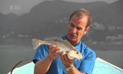 Robson Green