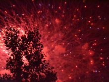 Rockets Redglare #3761778 picture (Landscape Medium)