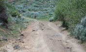 Rocky Roads