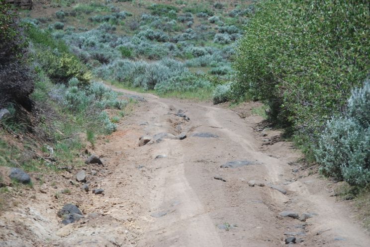 Rocky Roads
