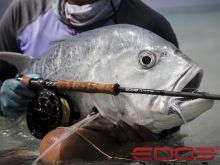 Rod Edge