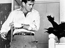 Rod Taylor